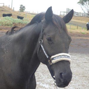 Meet your Posher, Melissa